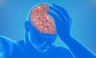 脑梗塞的病因与临床症状